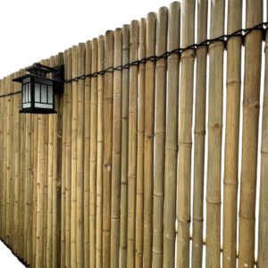 Bamboo Fence