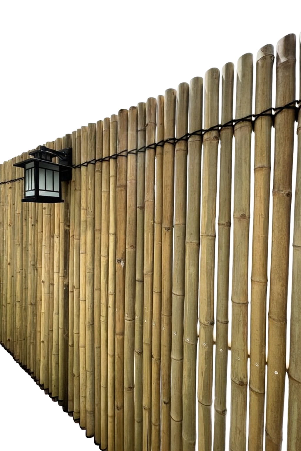 Bamboo Fence