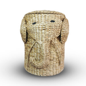 Water Hyacinth Basket Character