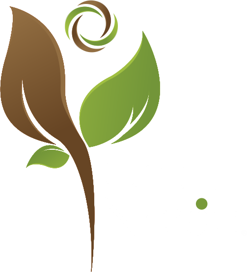 Craftnesia 