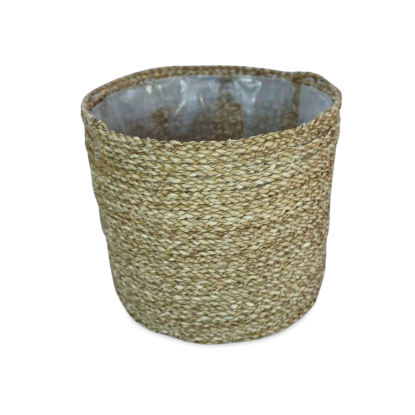 Pandan Planter