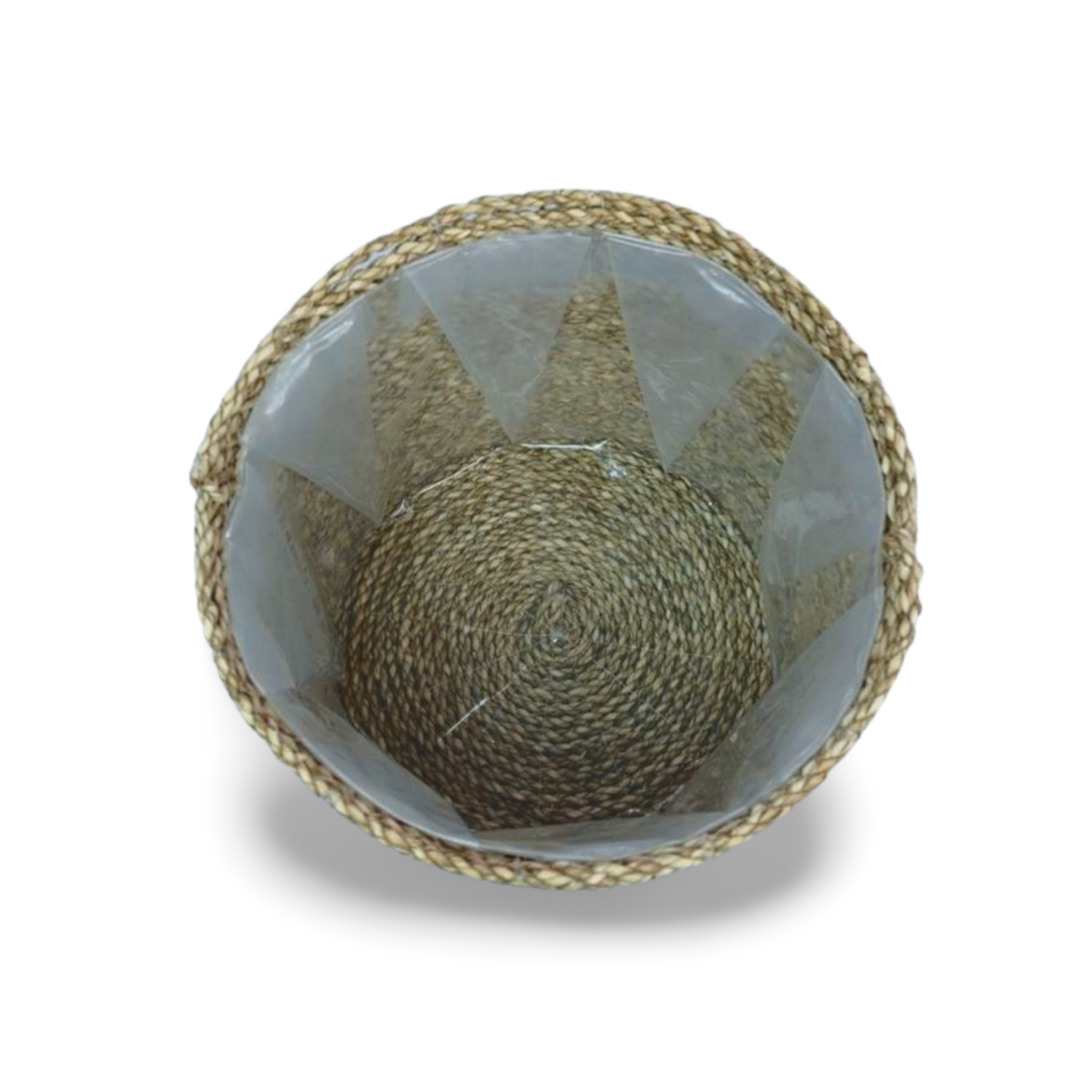 Pandan Planter - Gambar 2