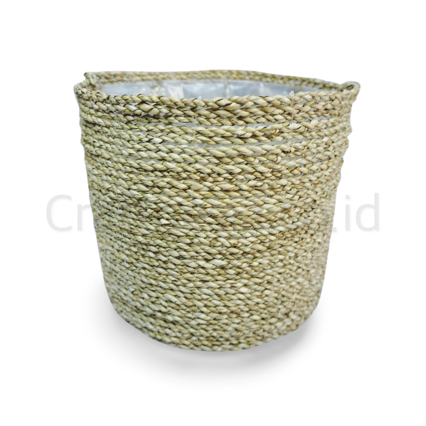 Pandan Planter - Gambar 3